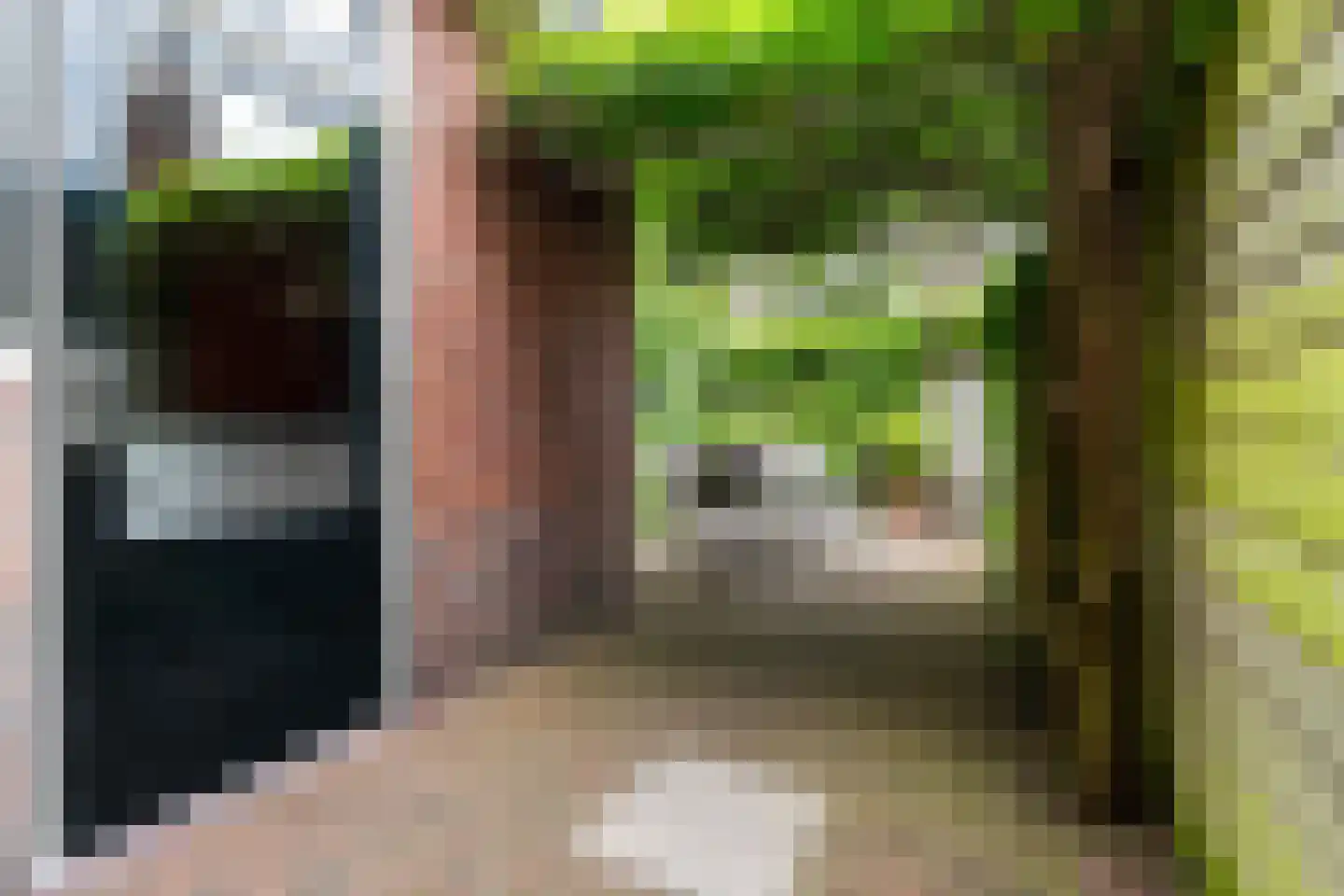 Van Bemmelenstraat 24 Leiden thumbnail 18