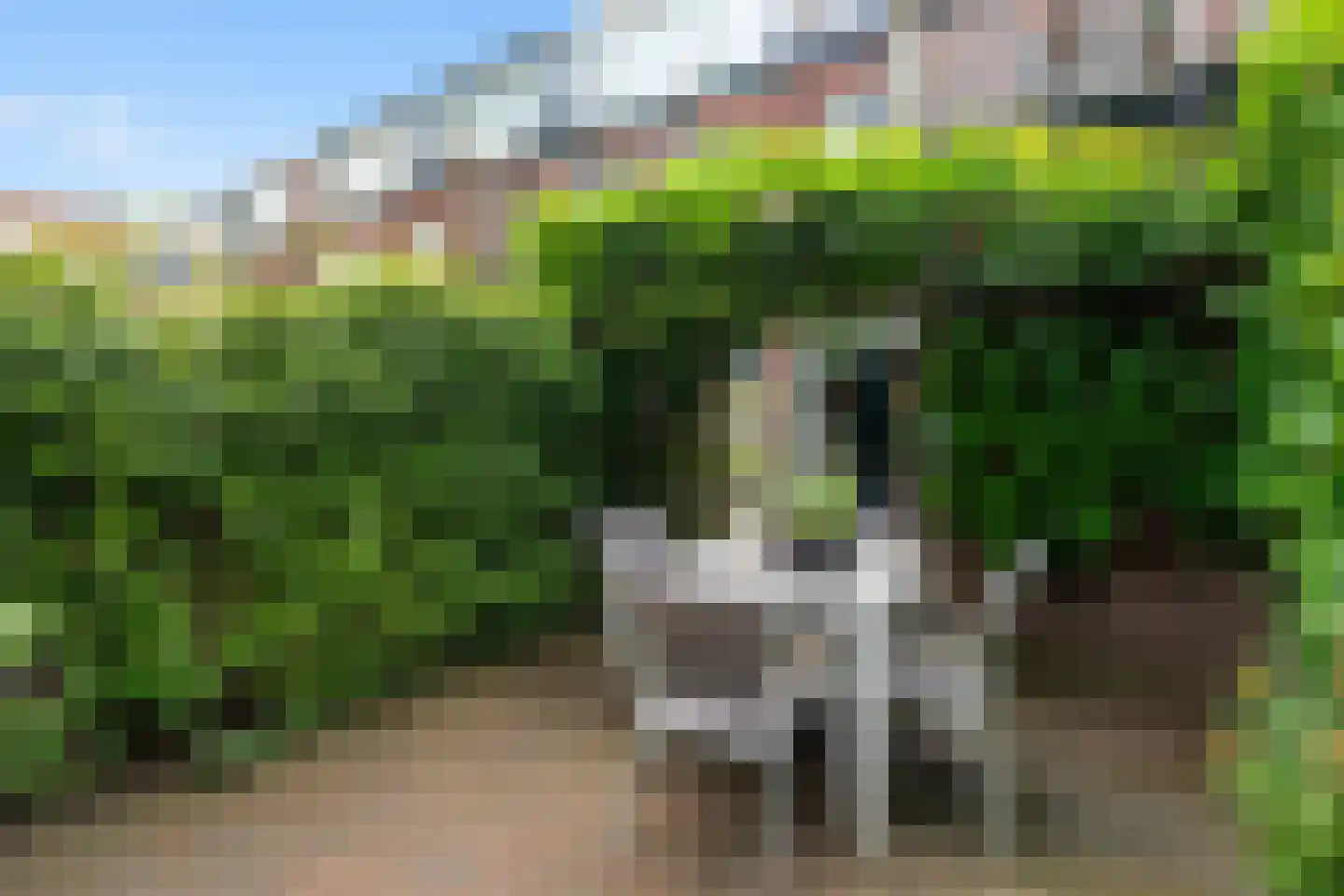 Van Bemmelenstraat 24 Leiden thumbnail 20