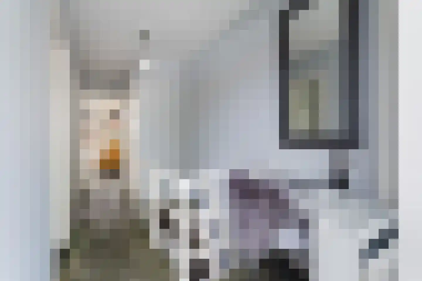 Van Bemmelenstraat 24 Leiden thumbnail 25