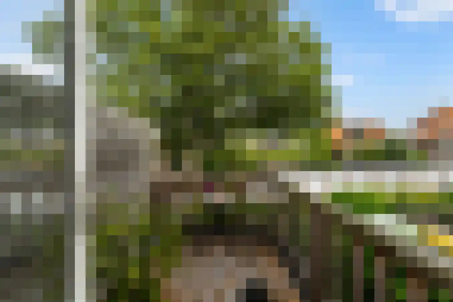 Van Bemmelenstraat 24 Leiden thumbnail 26