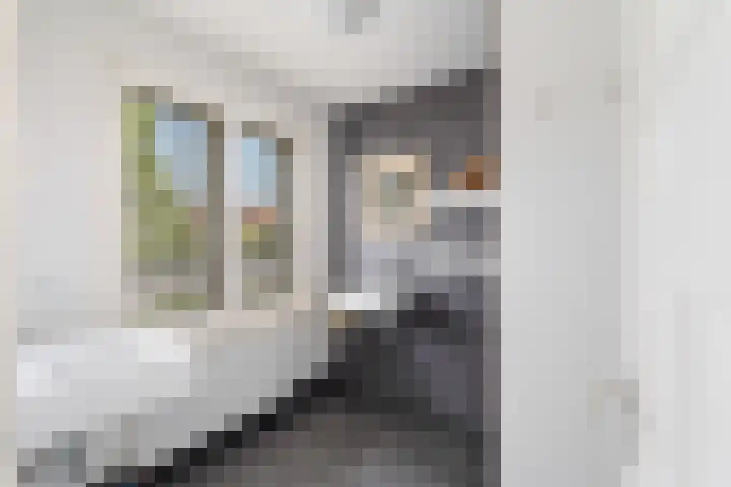 Van Bemmelenstraat 24 Leiden thumbnail 31