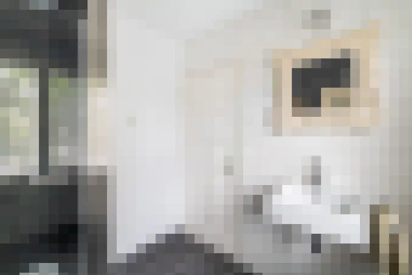 Van Bemmelenstraat 24 Leiden thumbnail 32