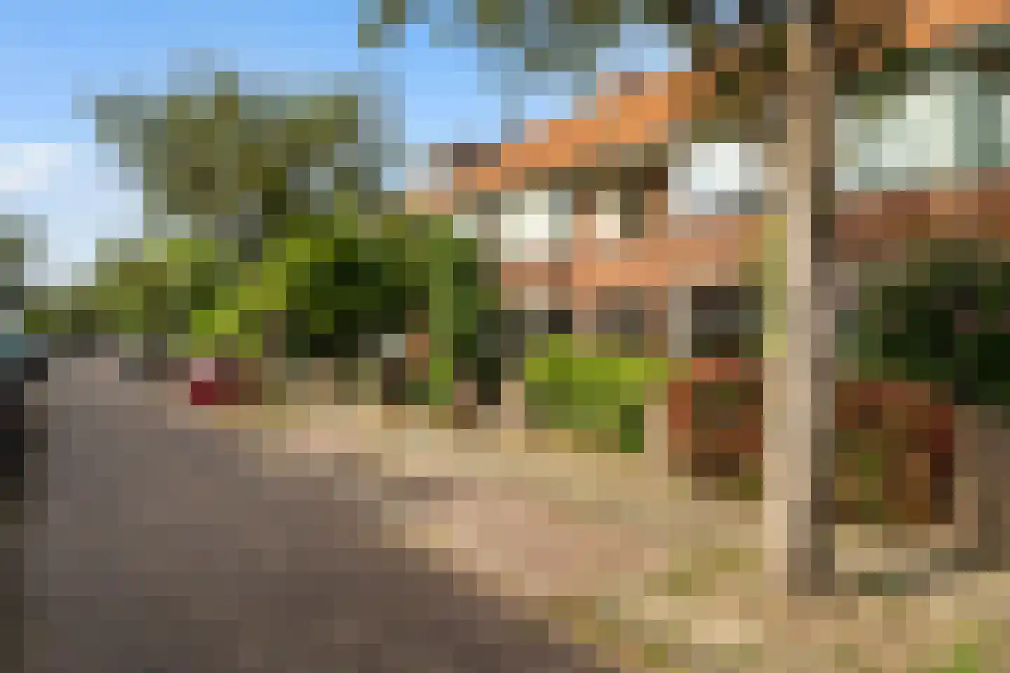 Van Bemmelenstraat 24 Leiden thumbnail 35