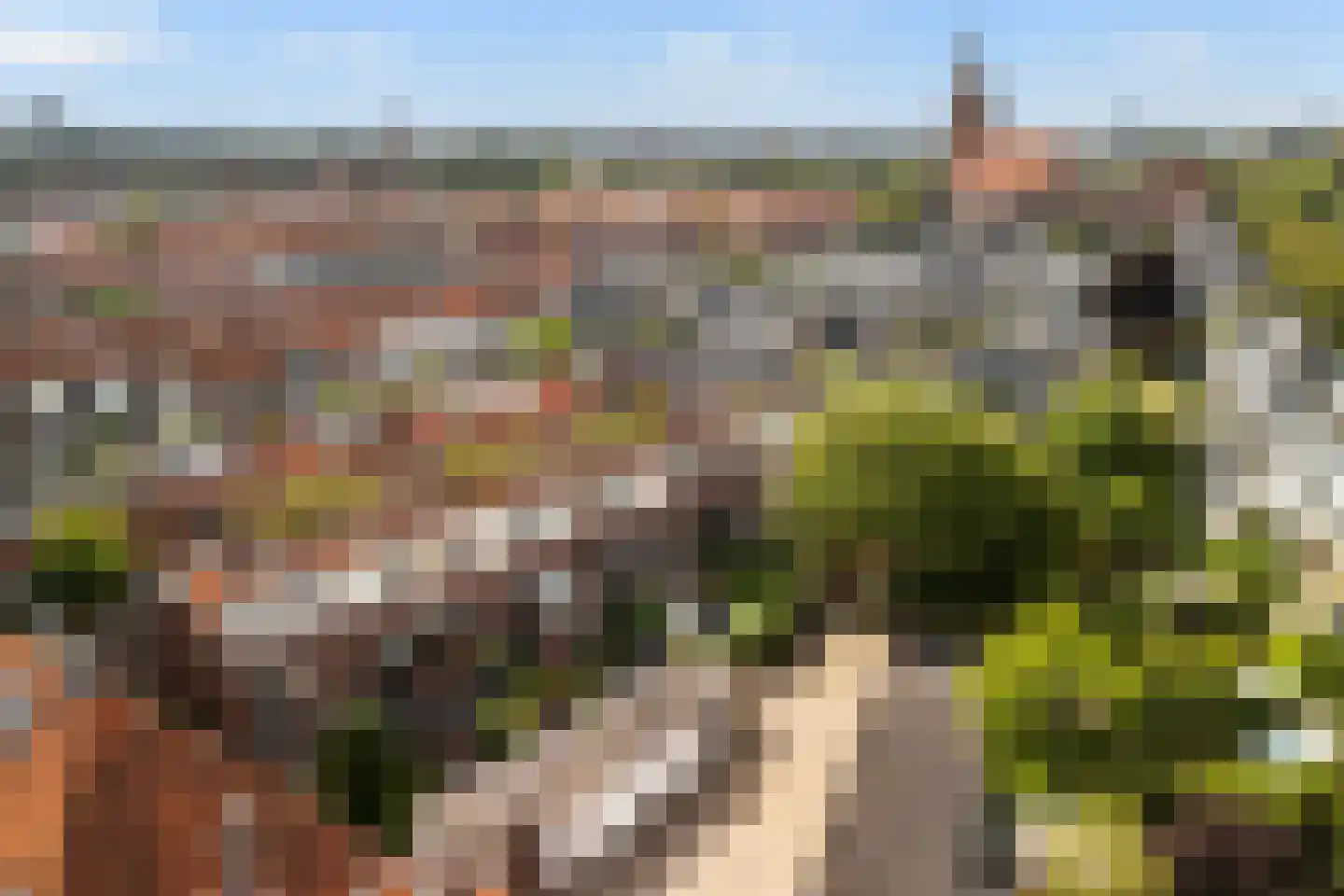 Van Bemmelenstraat 24 Leiden thumbnail 37