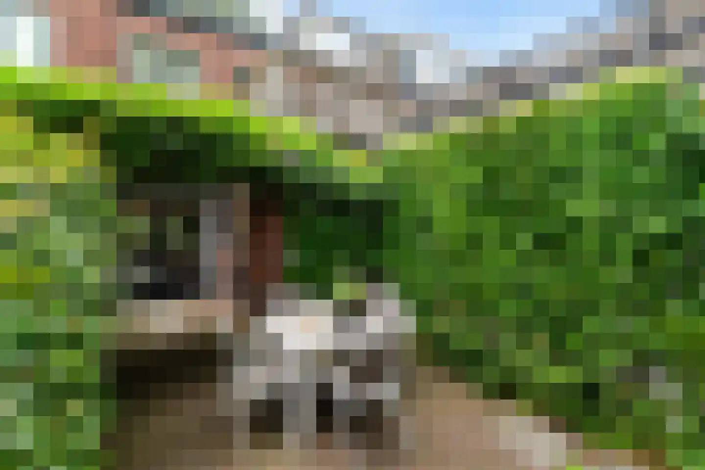 Van Bemmelenstraat 24 Leiden thumbnail 4