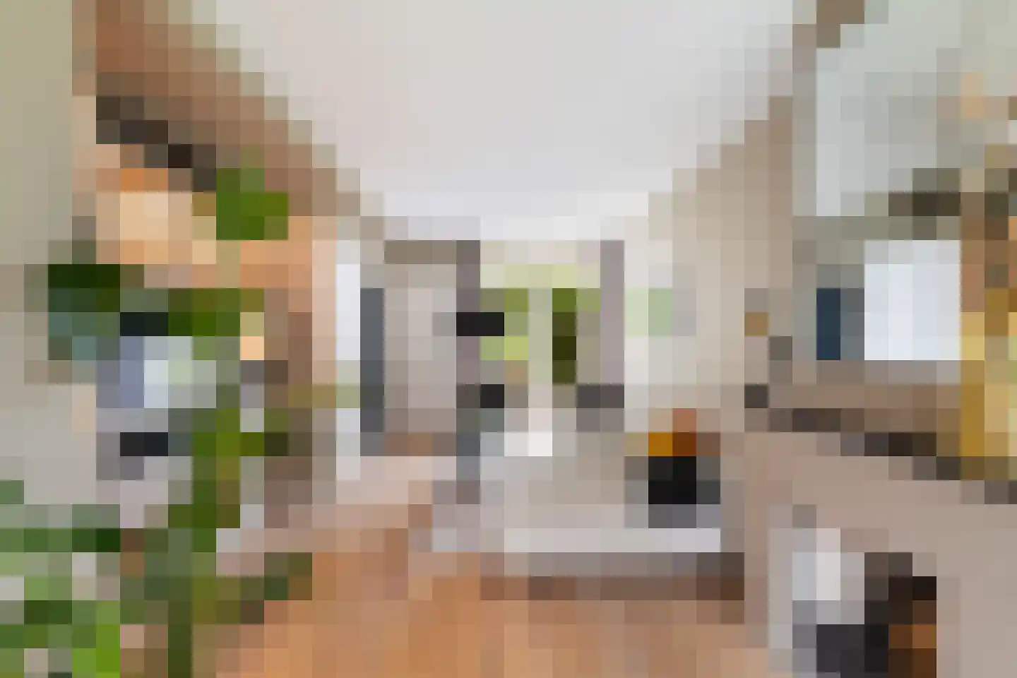 Van Bemmelenstraat 24 Leiden thumbnail 7