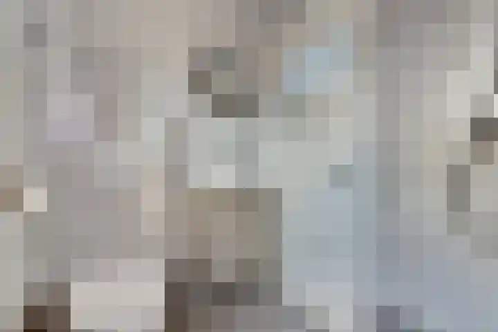 Van Bemmellaan 72 Monster thumbnail 19