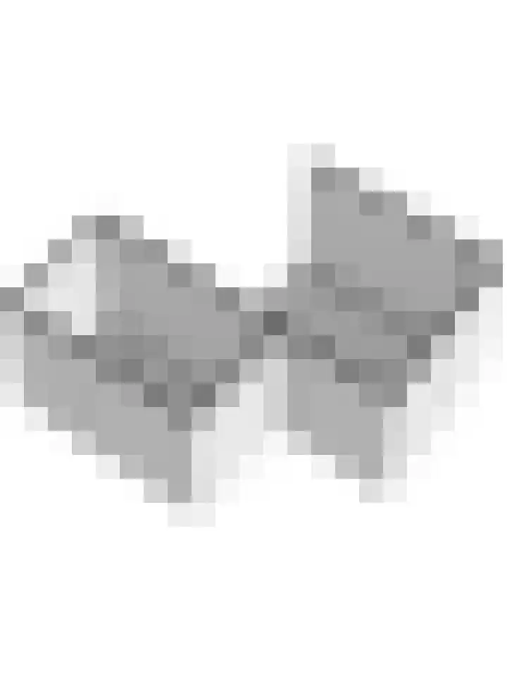 Van Bemmellaan 72 Monster thumbnail 39
