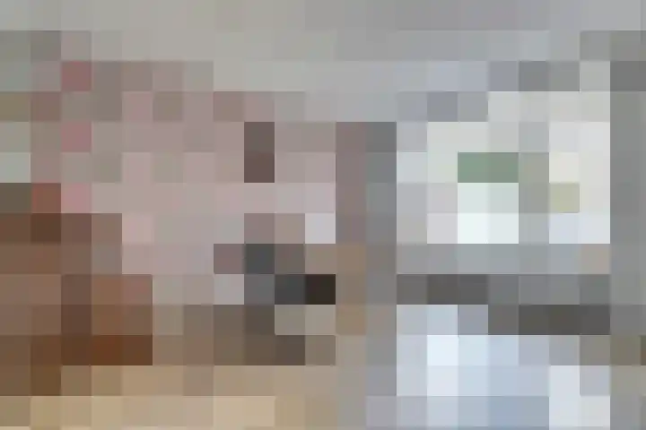 Van Bemmellaan 72 Monster thumbnail 7