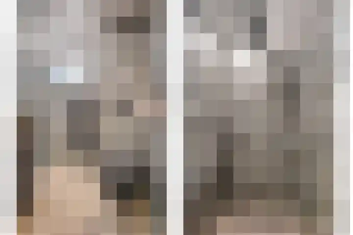 Van Bemmelstraat 31 Borne thumbnail 23