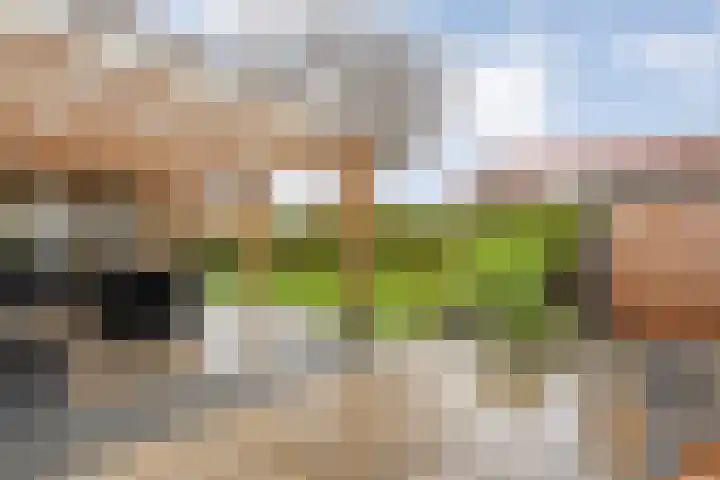 Van Bemmelstraat 31 Borne thumbnail 24