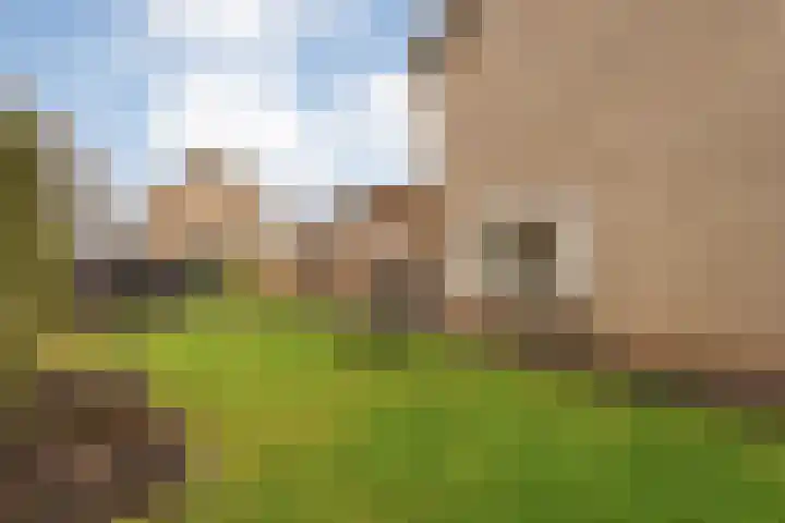 Van Bemmelstraat 31 Borne thumbnail 29