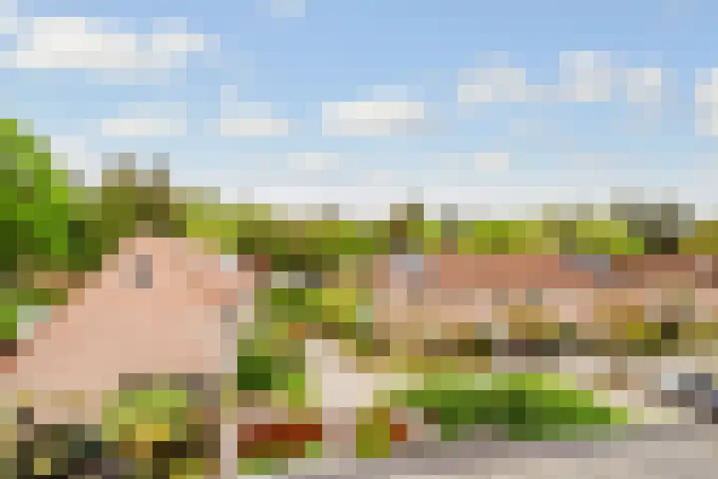 van Bennekomweg 110 Doorn thumbnail 39