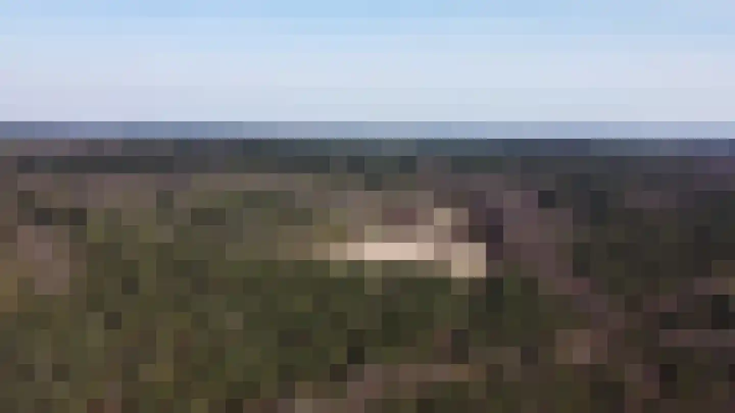 van Bennekomweg 110 Doorn thumbnail 47