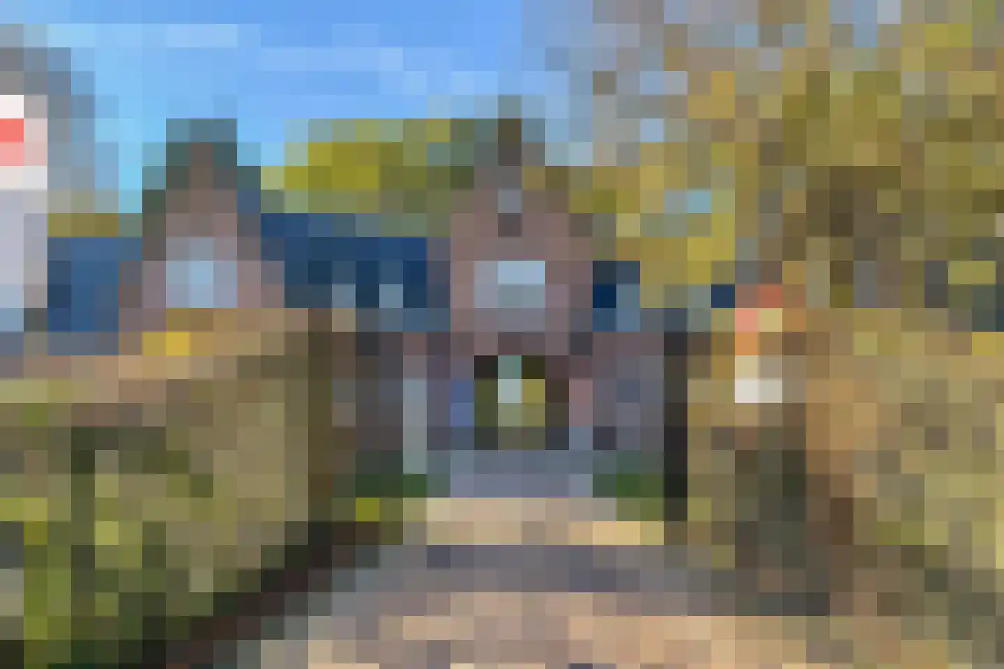 van Bennekomweg 110 Doorn thumbnail 50