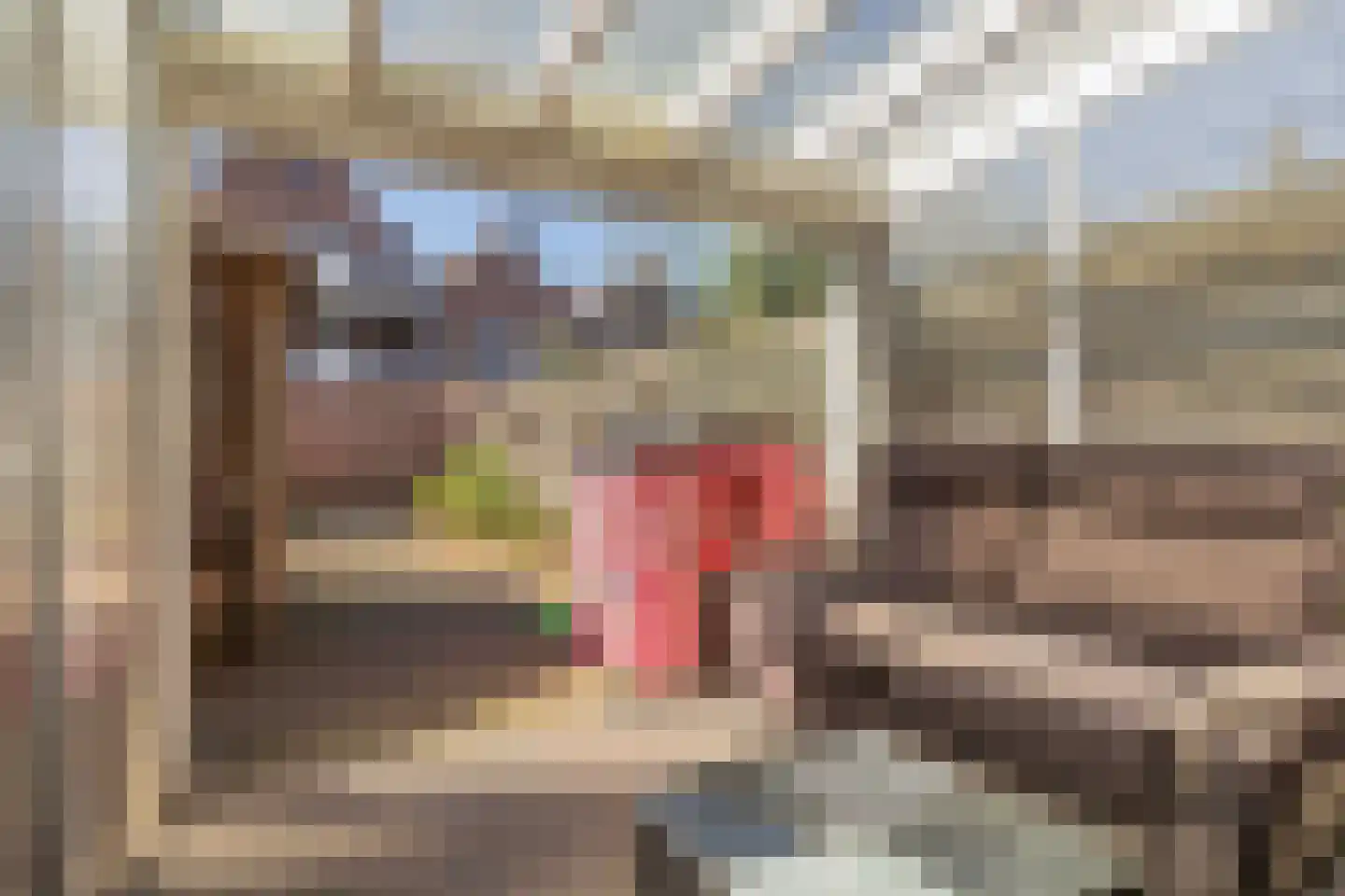 van Bennekomweg 17 a Doorn thumbnail 19