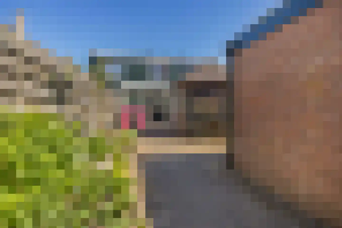 van Bennekomweg 17 a Doorn thumbnail 4
