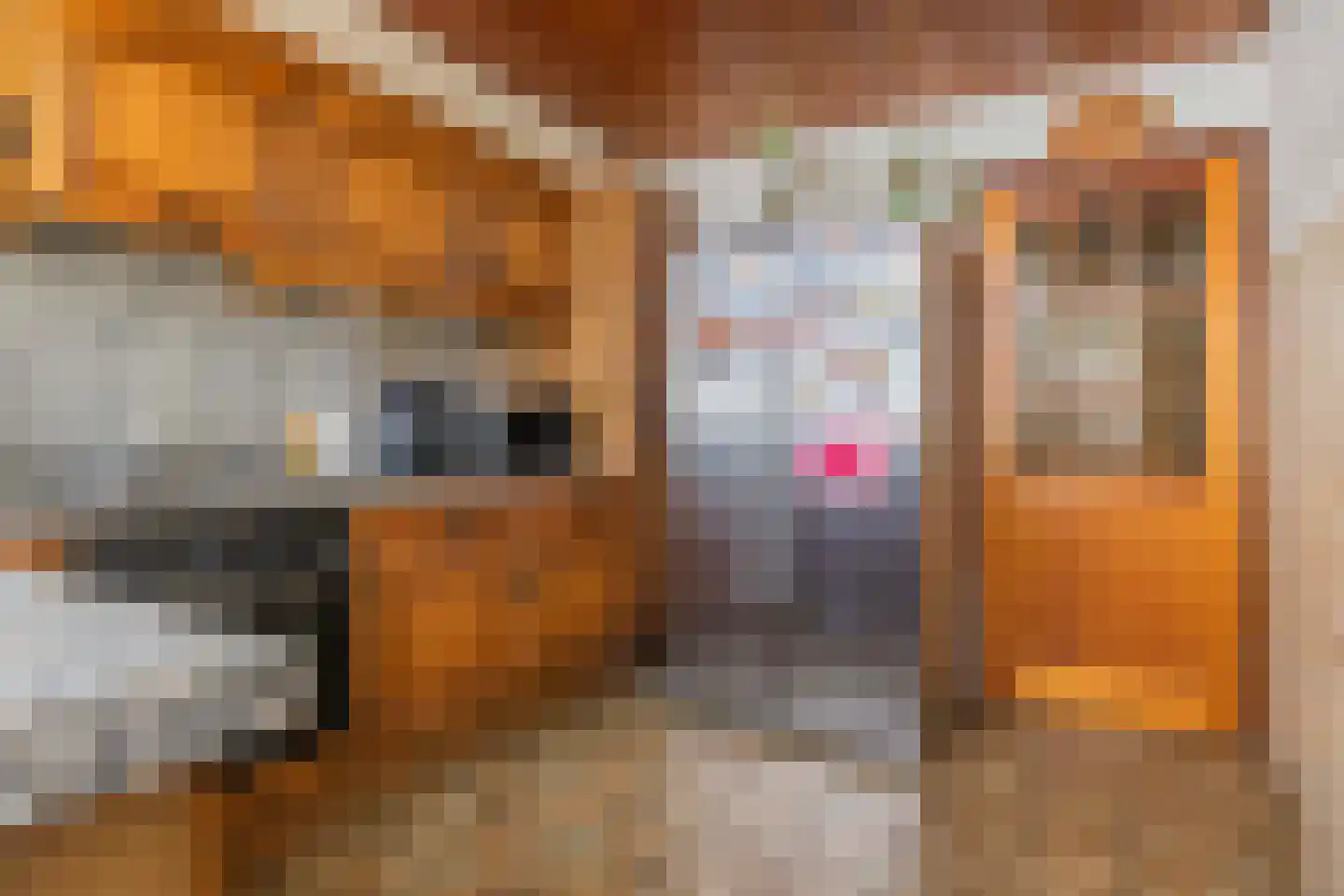 van Bennekomweg 17 a Doorn thumbnail 9