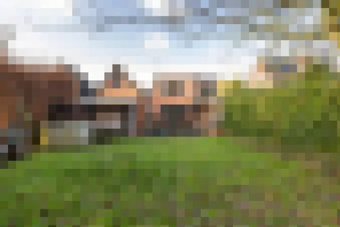 van Bennekomweg 24 Doorn thumbnail 29