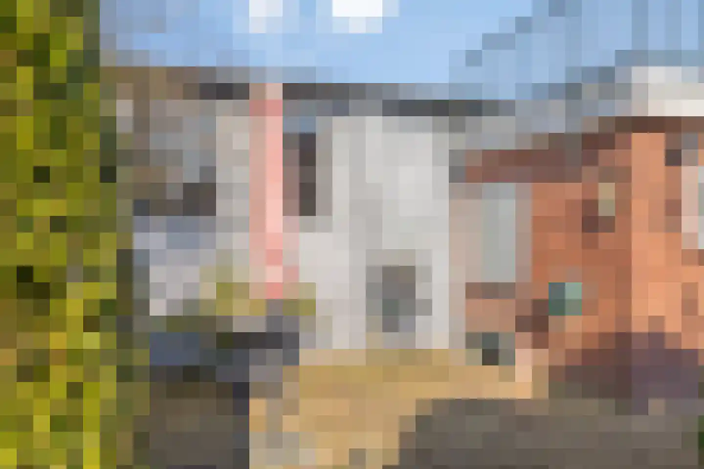 van Bennekomweg 49 Doorn thumbnail 31