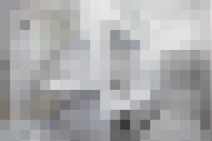 van Benthuysenlaan 23 Voorburg thumbnail 21