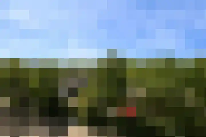 van Benthuysenlaan 23 Voorburg thumbnail 24