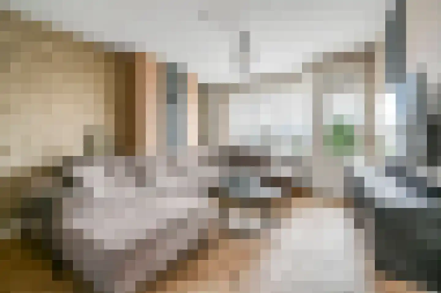 van Benthuysenlaan 25 Voorburg thumbnail 11