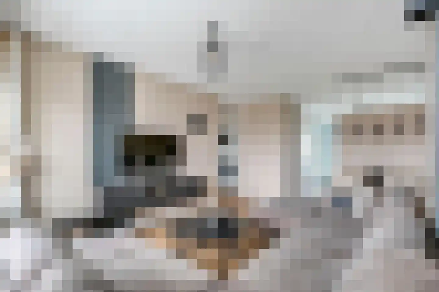 van Benthuysenlaan 25 Voorburg thumbnail 13