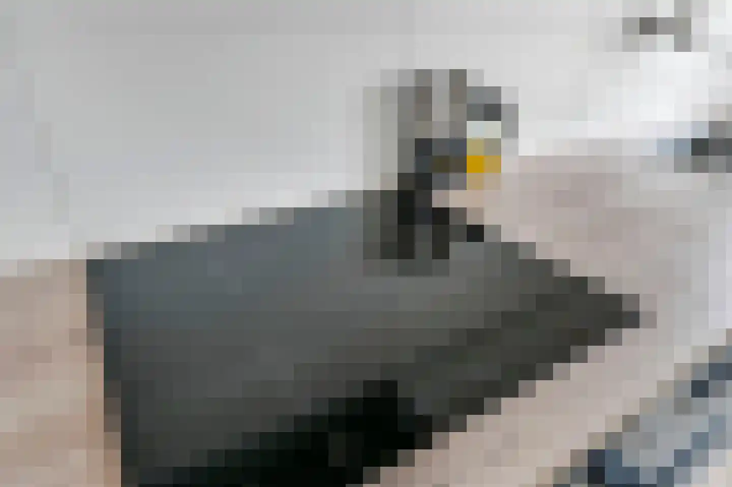 van Benthuysenlaan 25 Voorburg thumbnail 17