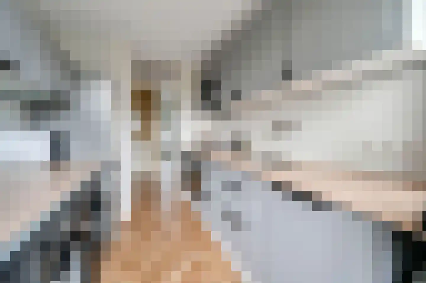 van Benthuysenlaan 25 Voorburg thumbnail 18