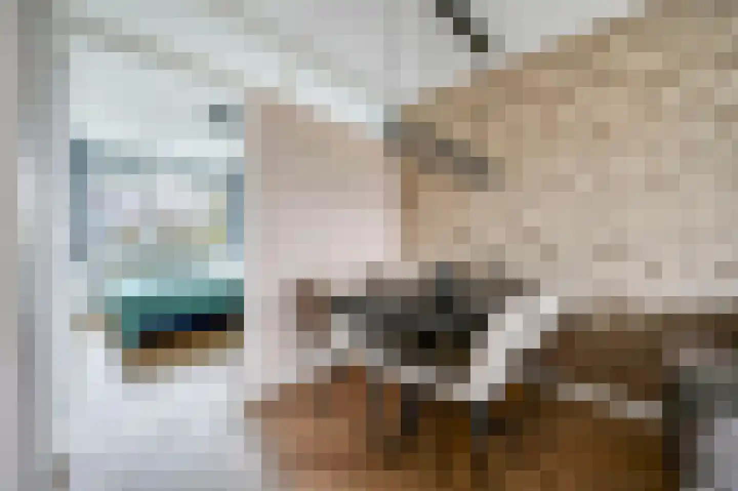 van Benthuysenlaan 25 Voorburg thumbnail 21