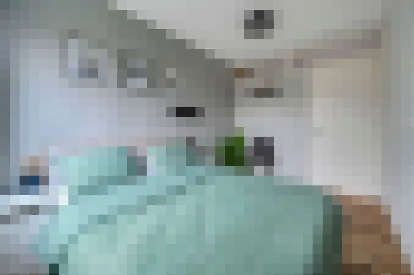 van Benthuysenlaan 25 Voorburg thumbnail 22