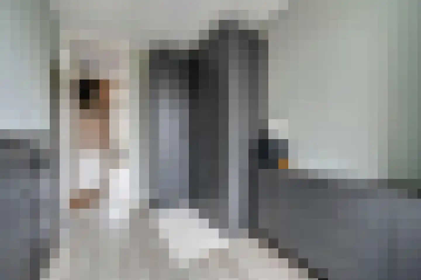 van Benthuysenlaan 25 Voorburg thumbnail 29