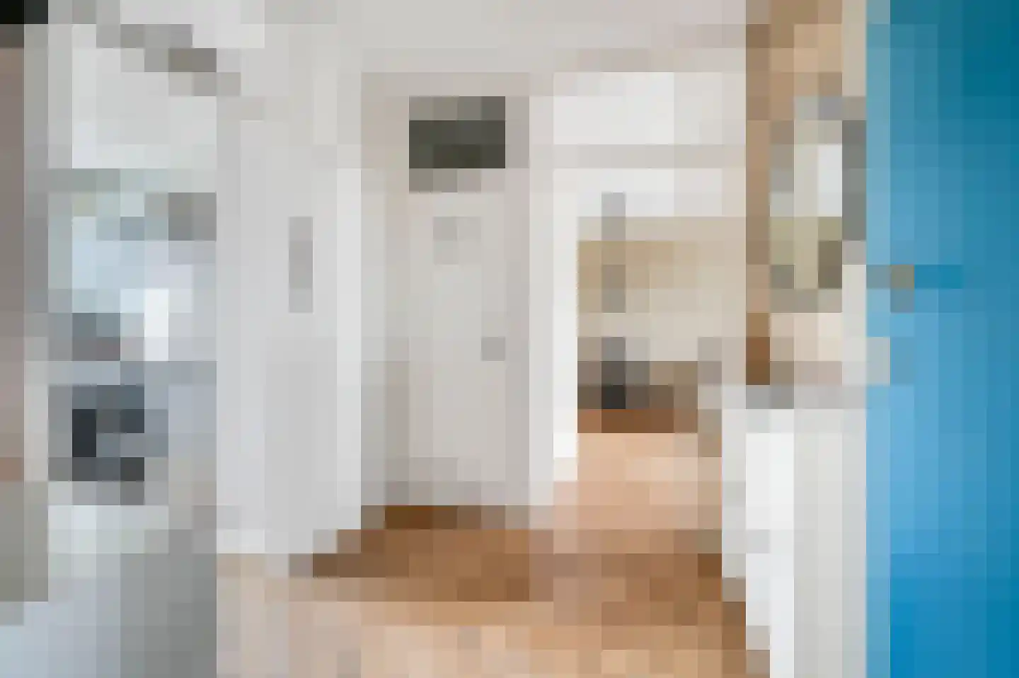 van Benthuysenlaan 25 Voorburg thumbnail 6