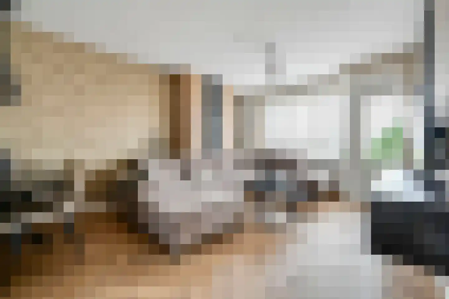 van Benthuysenlaan 25 Voorburg thumbnail 9