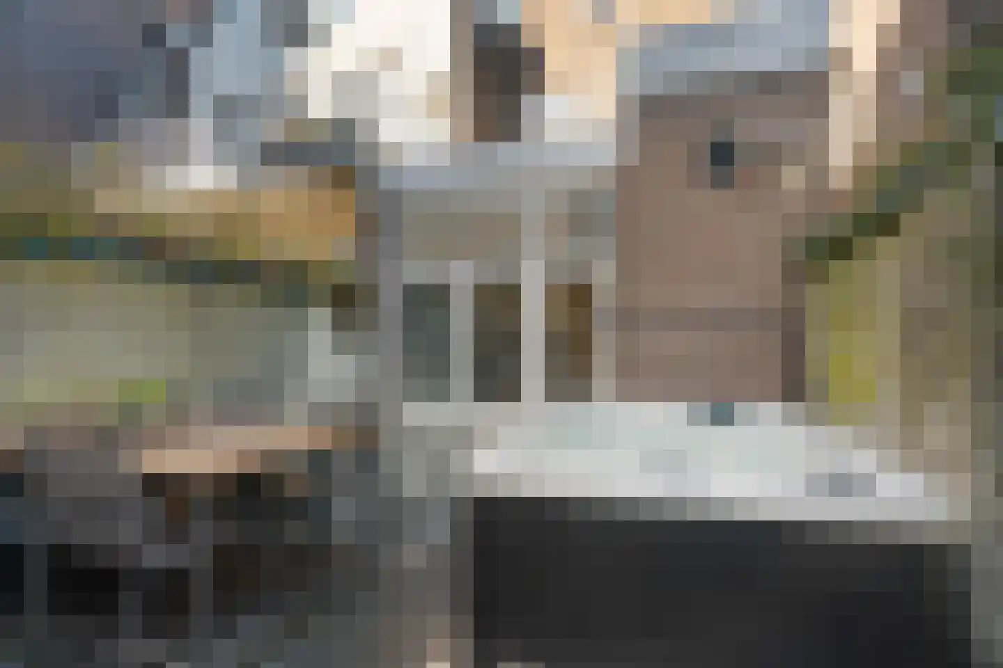 van Berchenstraat 10 Nijmegen thumbnail 42