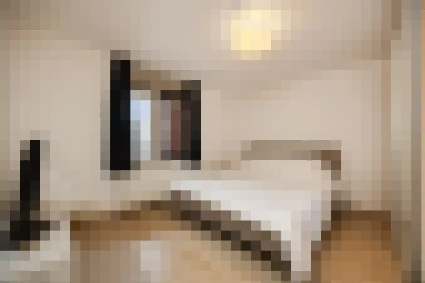van Berckelstraat 5 's-Hertogenbosch thumbnail 18
