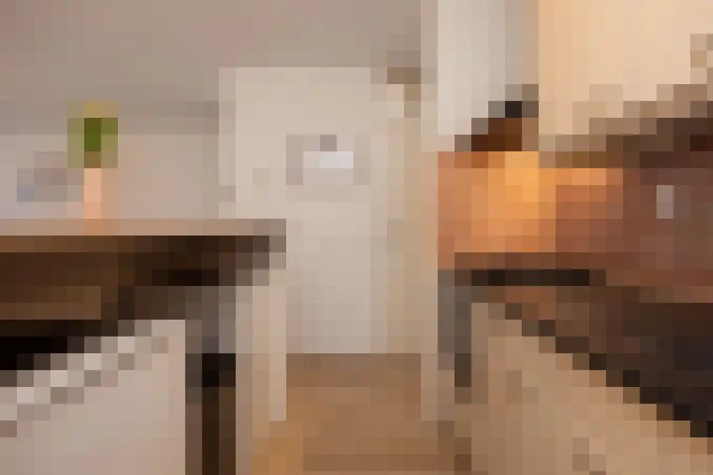 van Berckelstraat 5 's-Hertogenbosch thumbnail 22