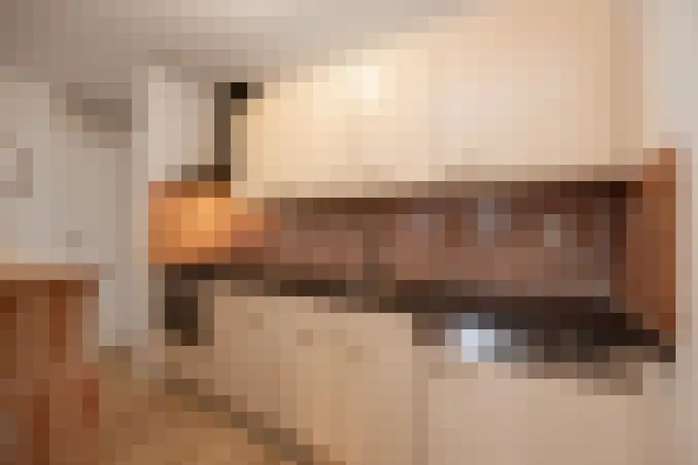 van Berckelstraat 5 's-Hertogenbosch thumbnail 23