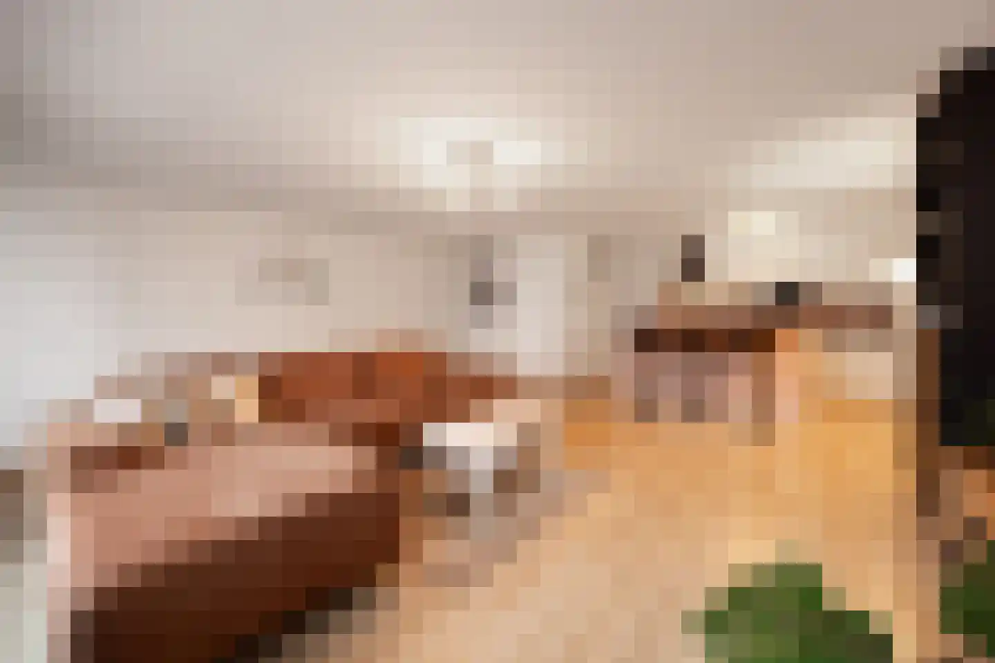 van Berckelstraat 5 's-Hertogenbosch thumbnail 29