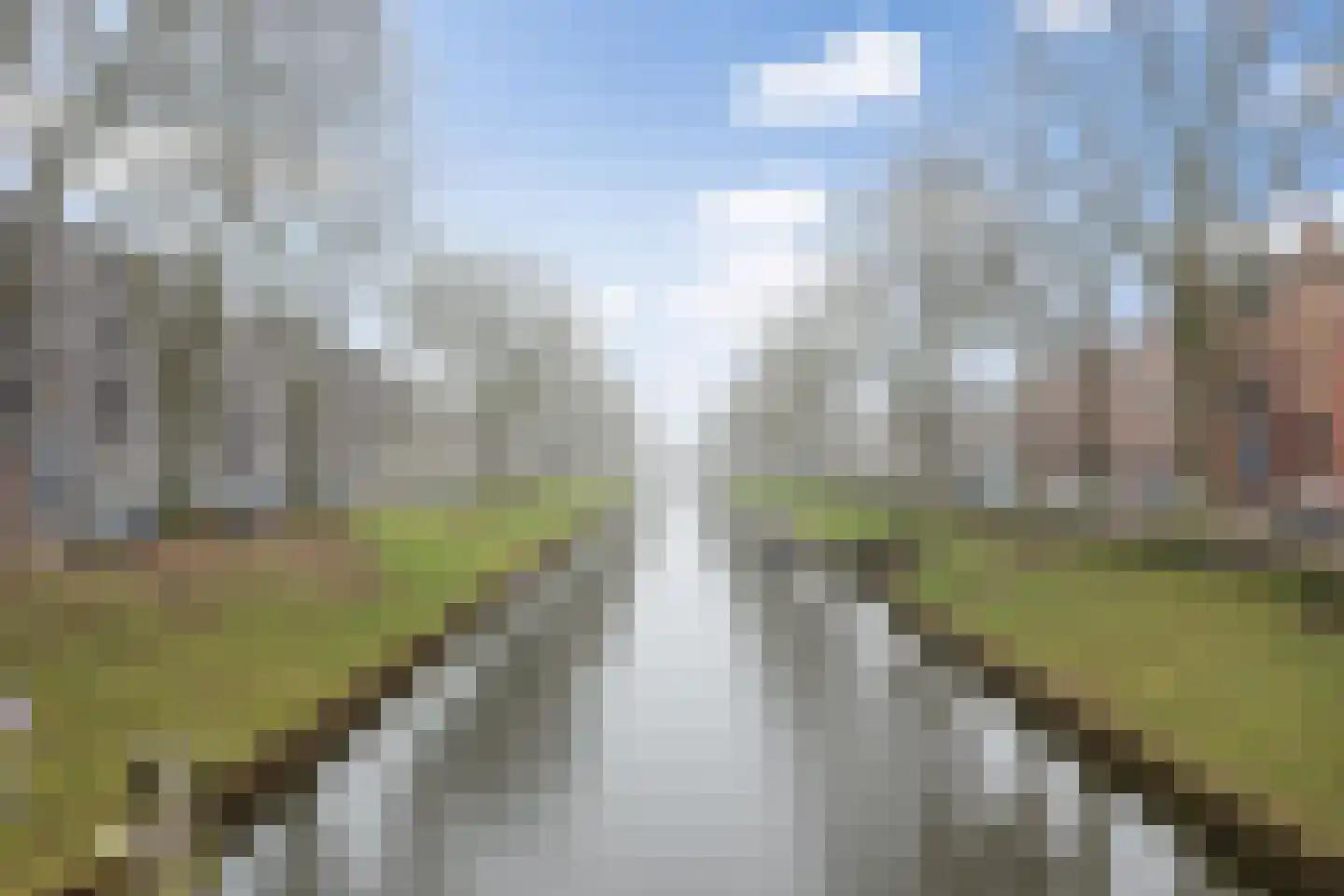 van Berckelstraat 5 's-Hertogenbosch thumbnail 29