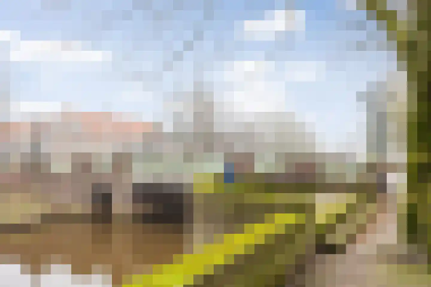 van Berckelstraat 5 's-Hertogenbosch thumbnail 30
