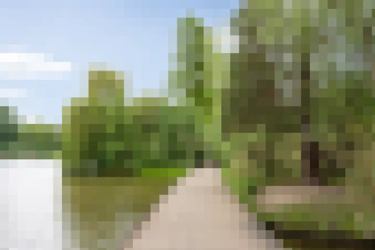 van Berckelstraat 5 's-Hertogenbosch thumbnail 31