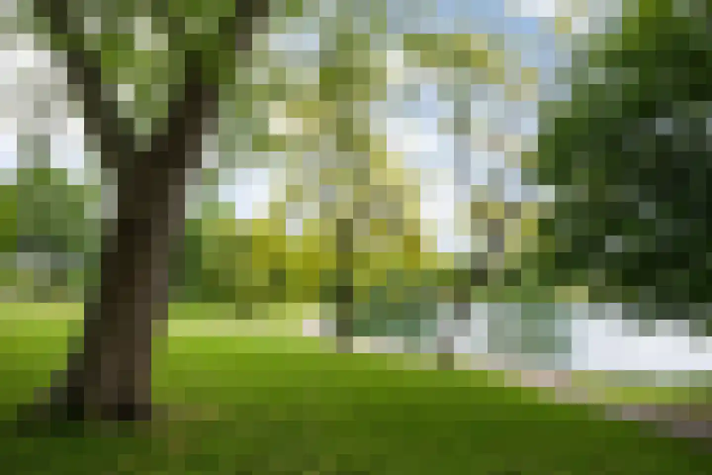 van Berckelstraat 5 's-Hertogenbosch thumbnail 32