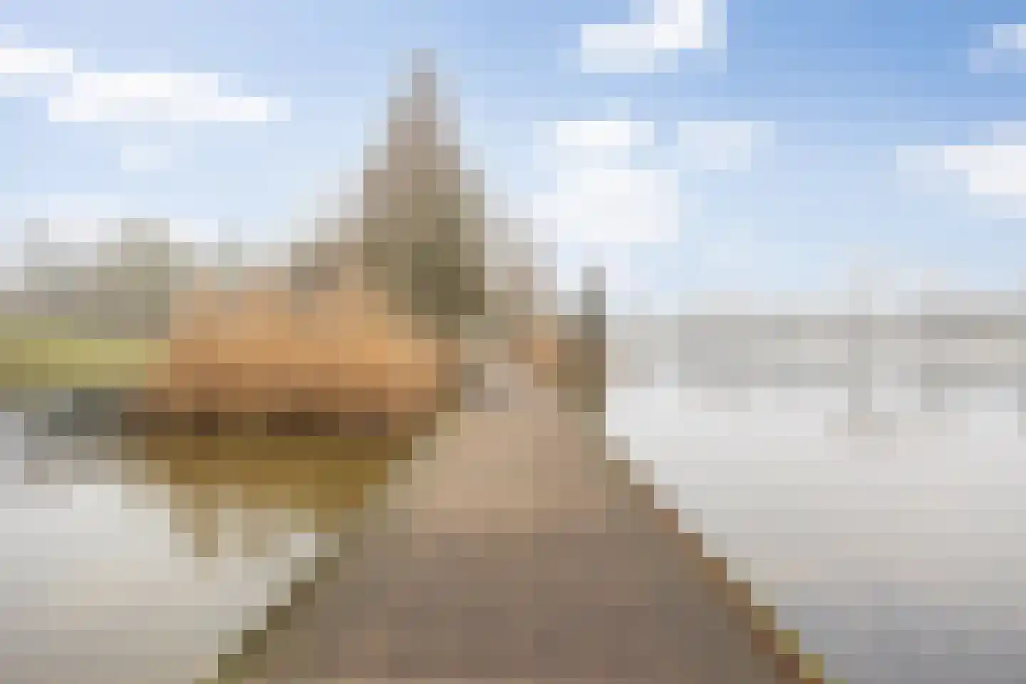 van Berckelstraat 5 's-Hertogenbosch thumbnail 32