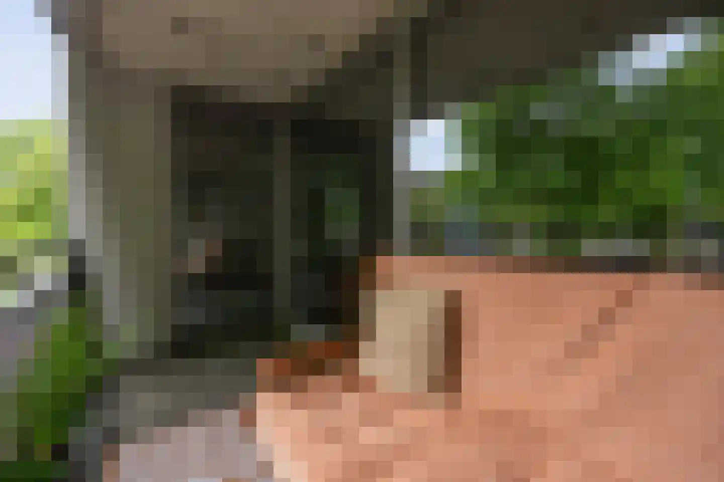 van Berckelstraat 5 's-Hertogenbosch thumbnail 33