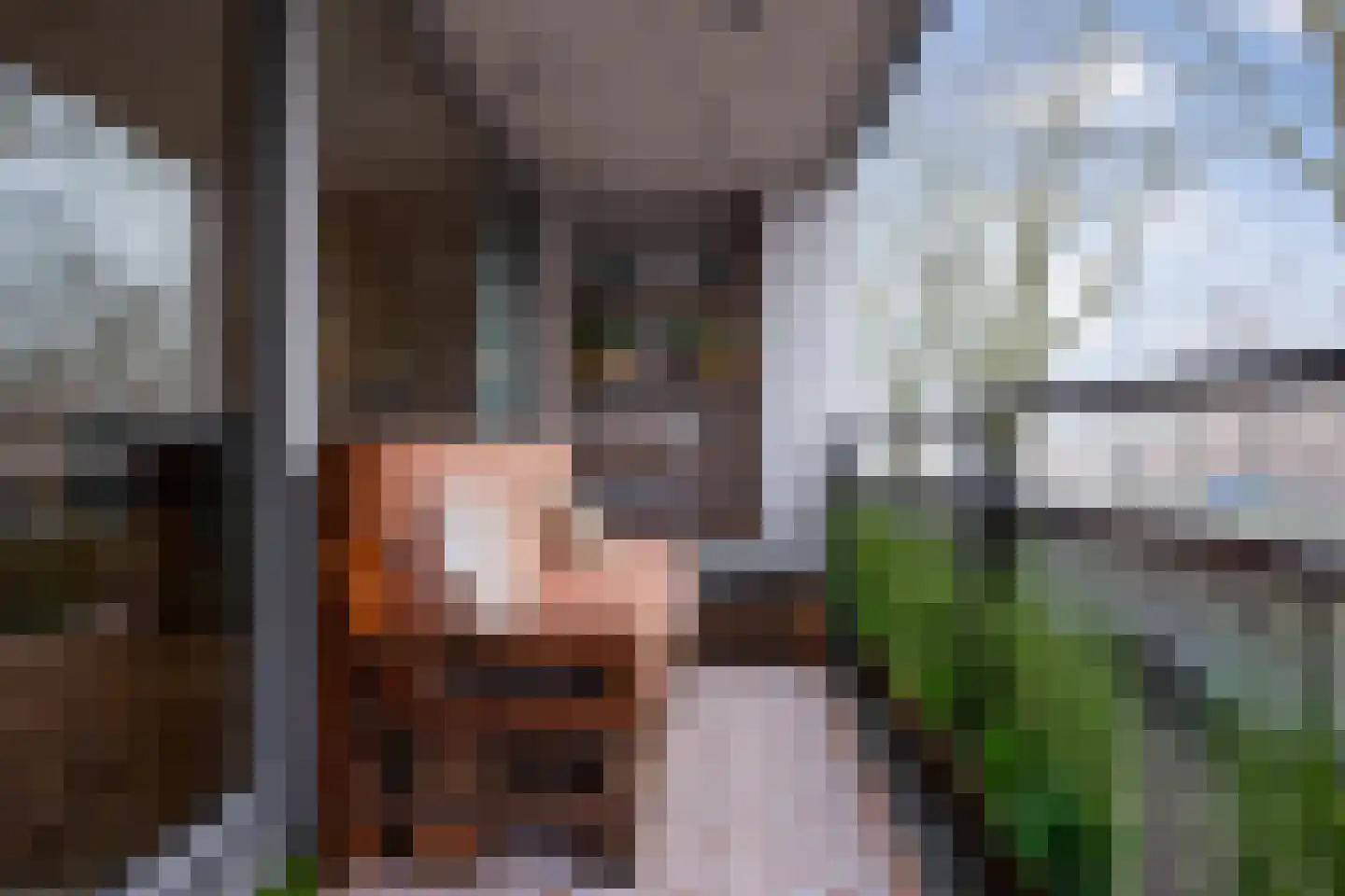 van Berckelstraat 5 's-Hertogenbosch thumbnail 34