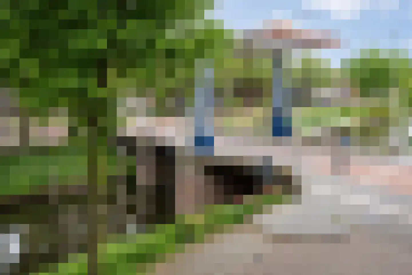 van Berckelstraat 5 's-Hertogenbosch thumbnail 35