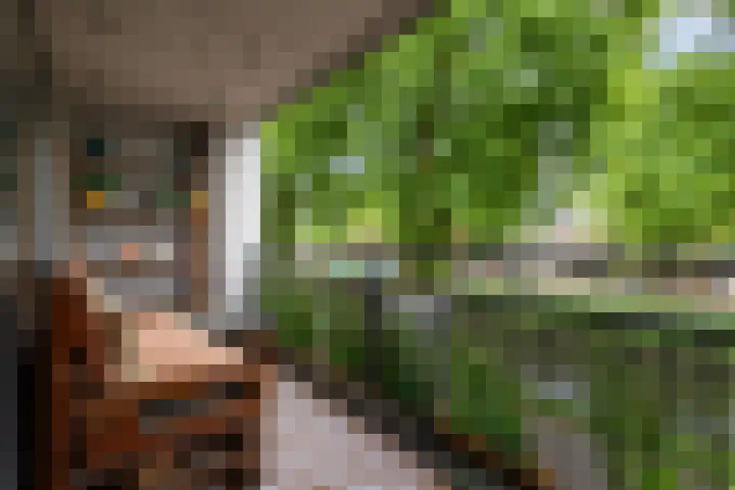 van Berckelstraat 5 's-Hertogenbosch thumbnail 4