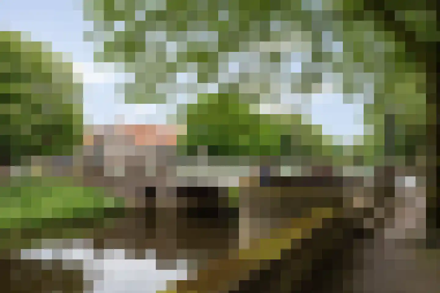 van Berckelstraat 5 's-Hertogenbosch thumbnail 43